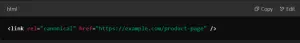 Example of a Self-Referencing Canonical Tag