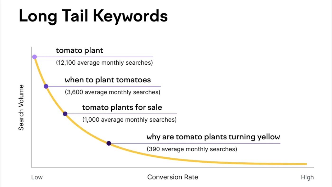 Long-Tail Keywords